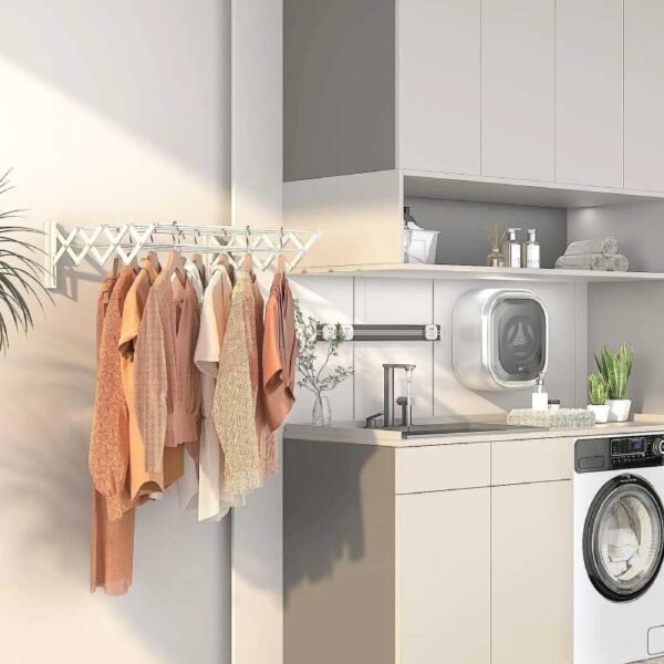 Wall Mounted Clothe Hanger - Image 5